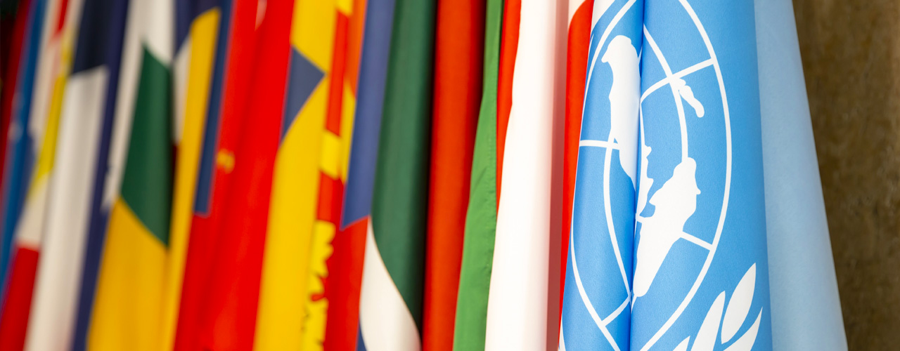 Les 10 principes du pacte mondial des nations unies